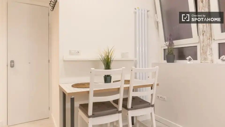 Room in Embajadores - Lavapiés