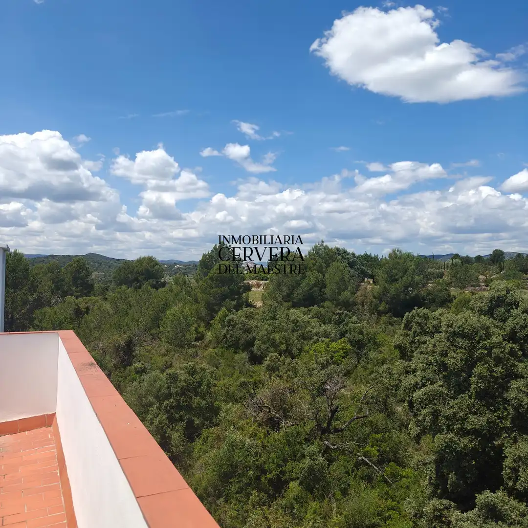 Chalet con piscina en venta en Cervera del Maestre, imagen 68