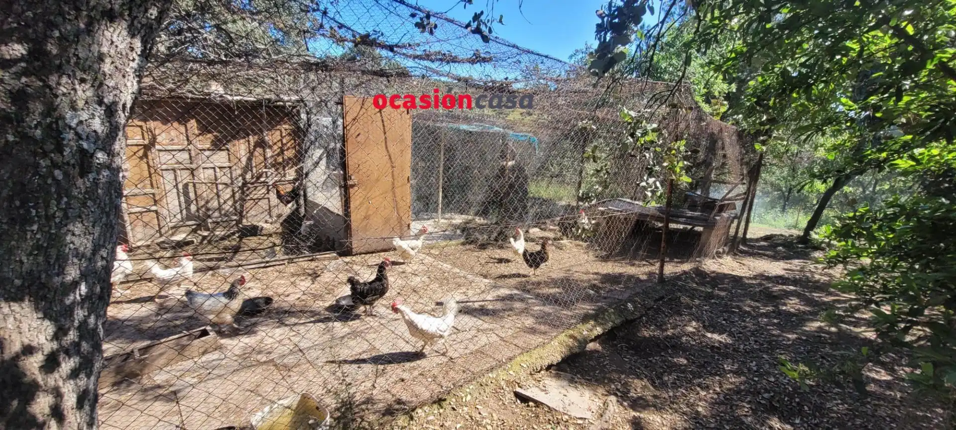 Casa rústica en venda a Pozoblanco, imagen 25