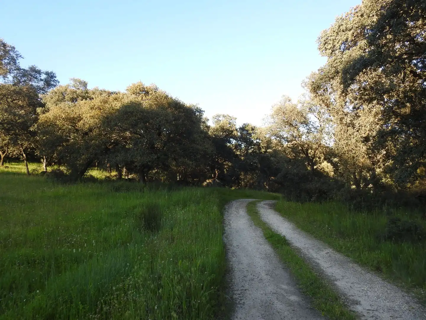 Exterior view of Land for sale in Cervera de los Montes