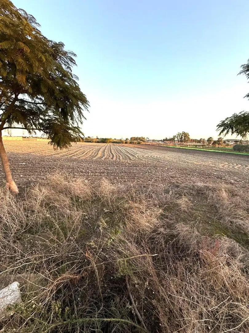 Rural land for sale in Ctra Sanlúcar - Cuatro Pinos, imagen 15