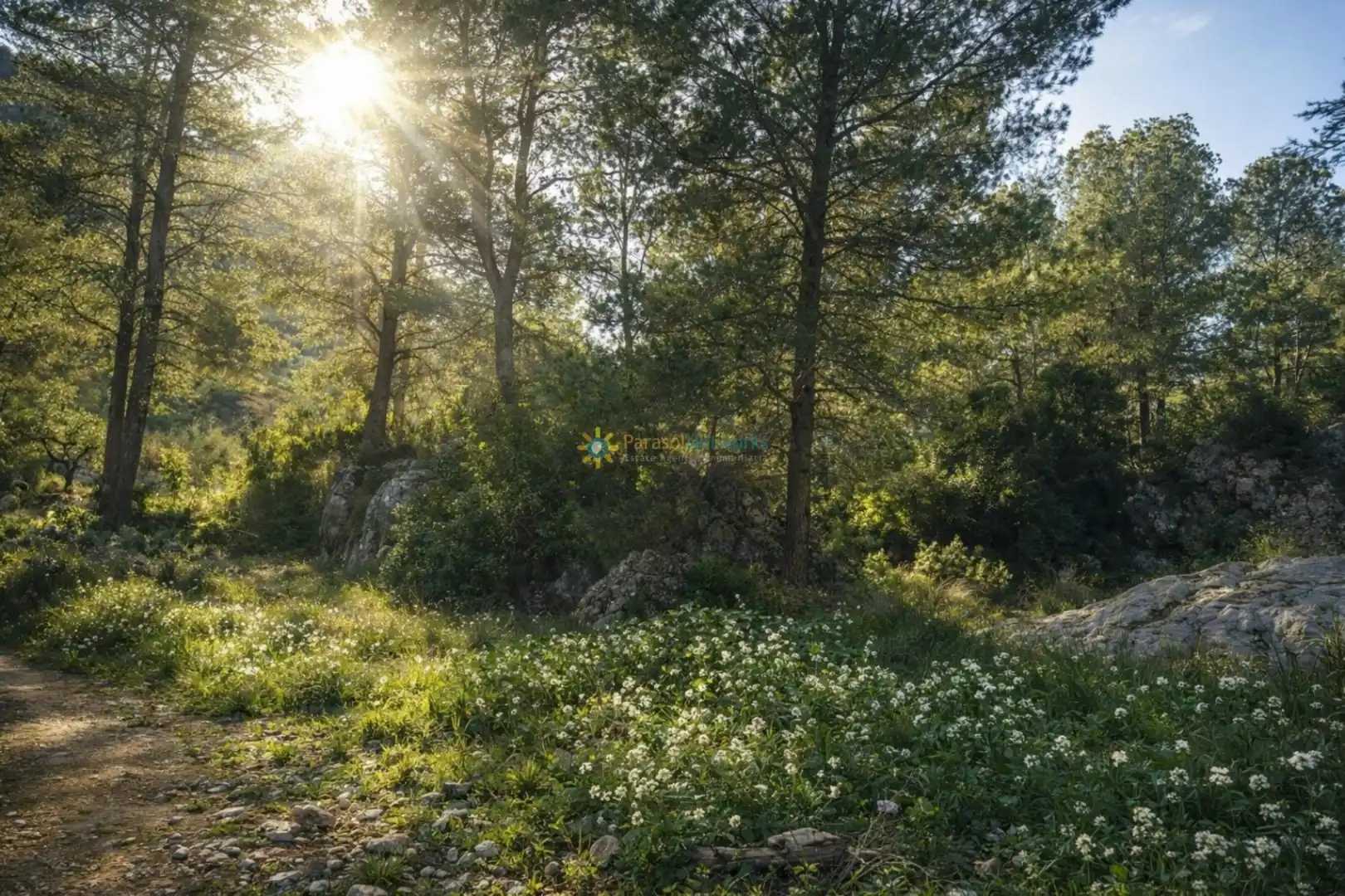 Finca rústica en venda en Muro de Alcoy amb Jardí privat i Traster