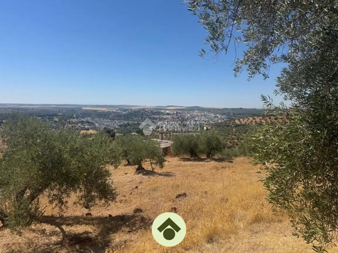 Terreny residencial en venda a Montoro