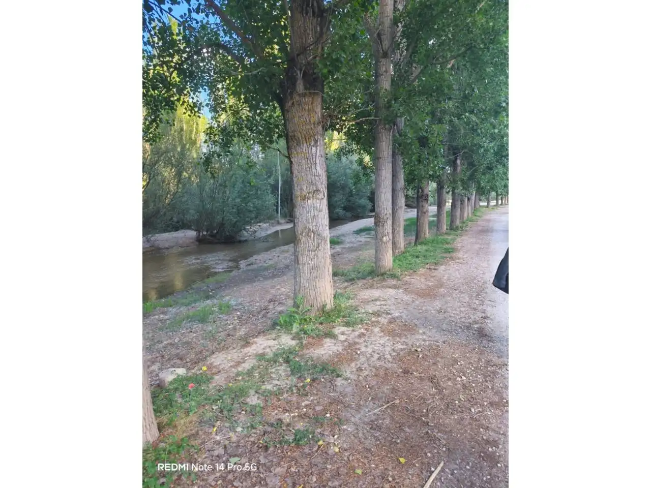 Chalet con piscina en venta en Escalona, imagen 48