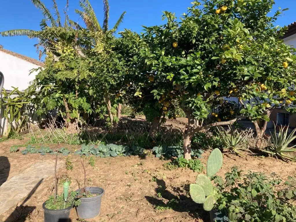 Chalet con jardín en venta en Medina Sidonia, imagen 41