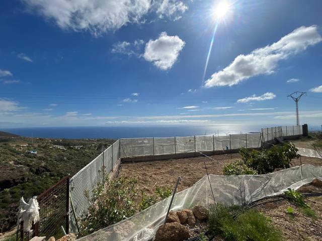 Terreno en Venta en Fasnia