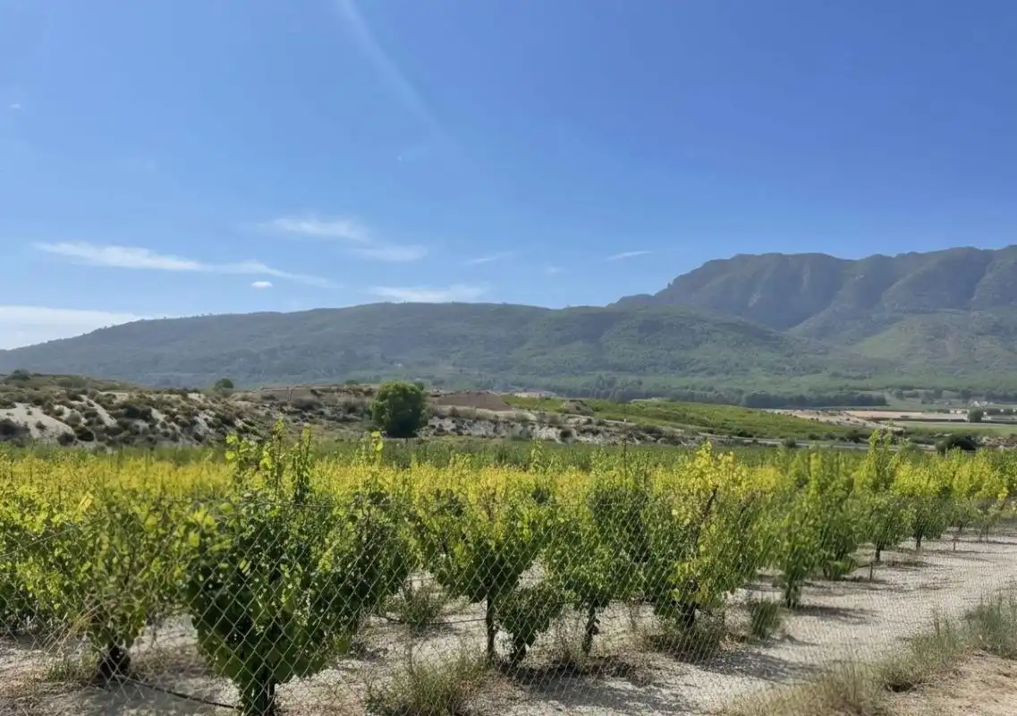Residential land for sale in RM-714