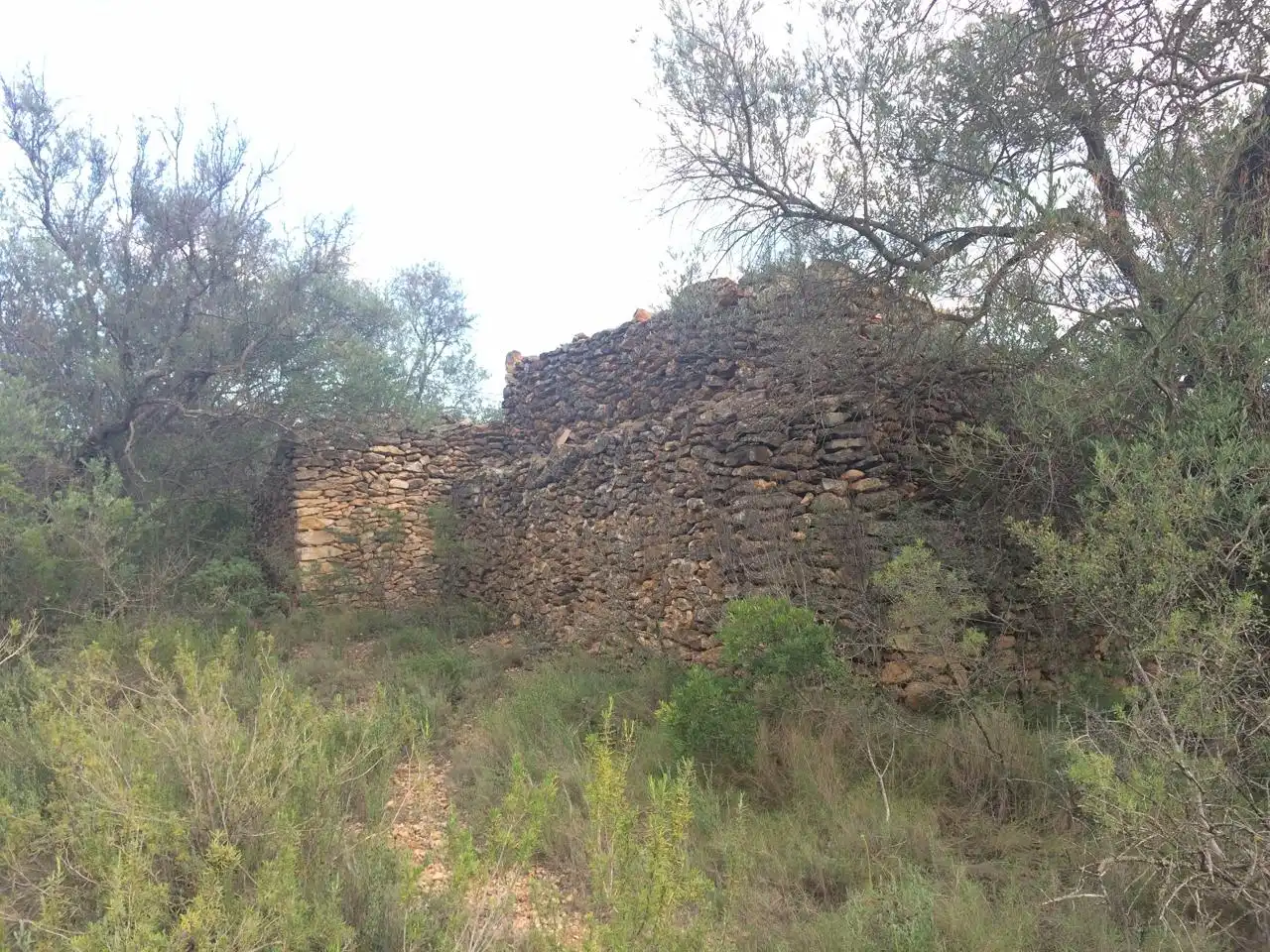 Terrain rustique à vendre à Les Planes, imagen 5