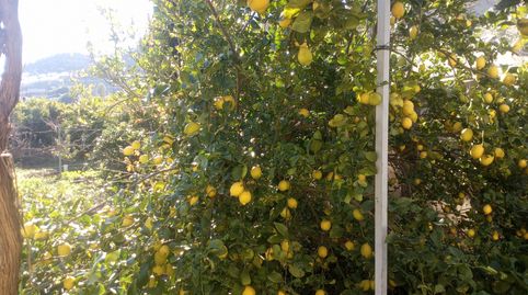 Se vende Cortijo con Parcela en Instincion, imatge 4