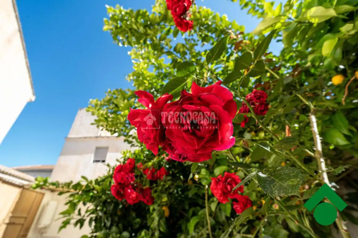 Jardí de Casa adosada en venda en Láchar