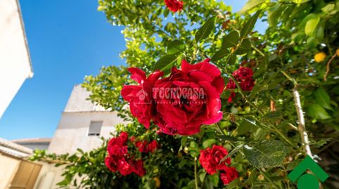 Foto 4 de Casa adosada en venta en Láchar, Granada