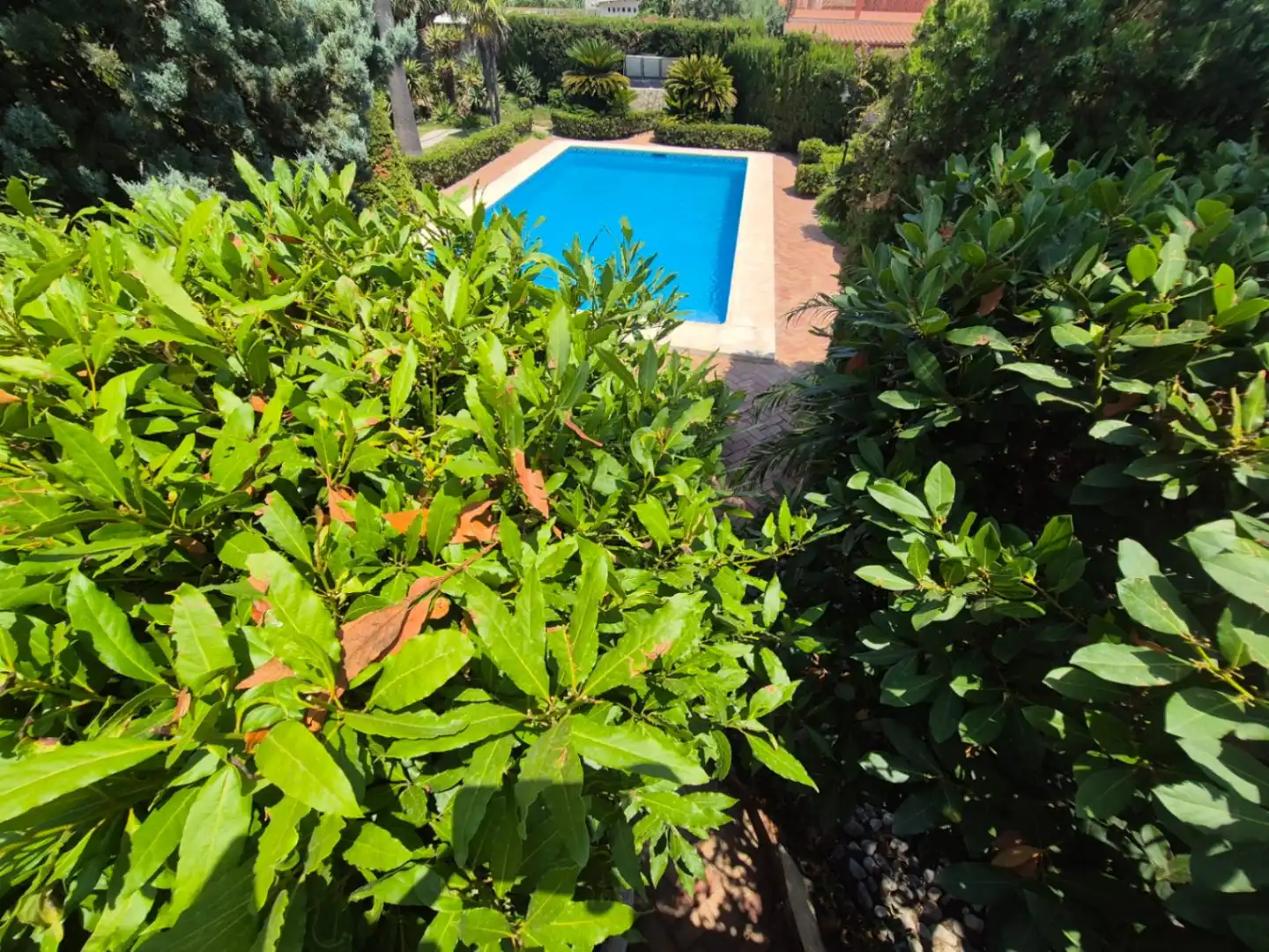 Chalet con piscina en venta en Oliva Playa, imagen 73