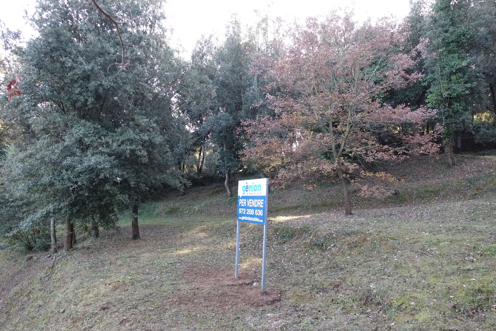Terreno residenziale in vendita a Diseminado Afueras