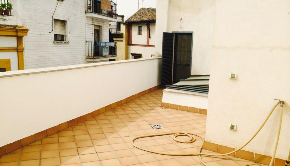 Foto 1 de Ático en venta en Muro de Los Navarros, San Bartolomé, Sevilla