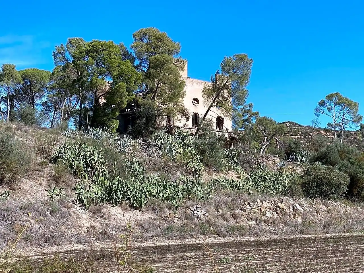 Terrain rustique à vendre à Aixalella, imagen 7