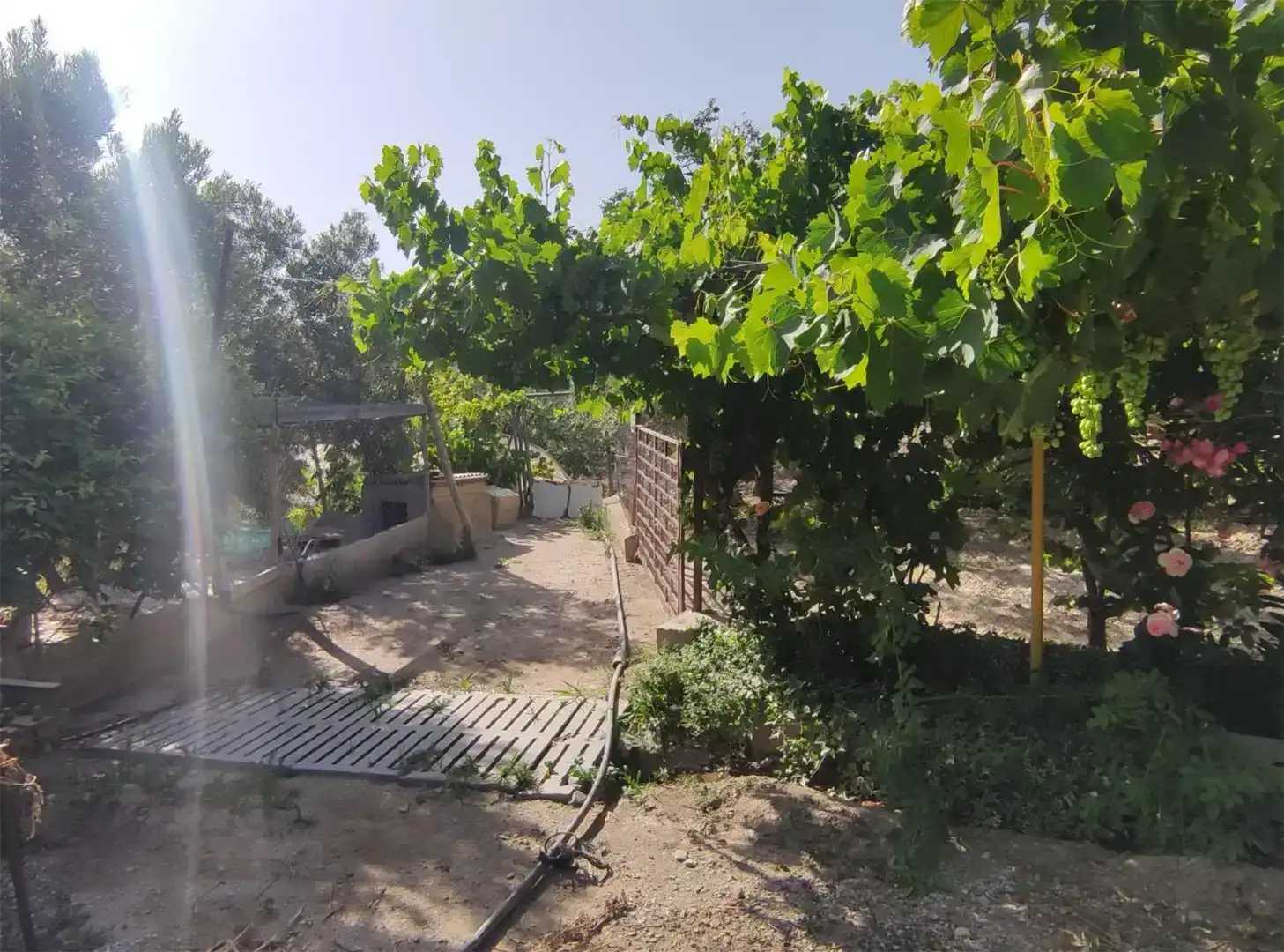 Terreno en venta en Caniles