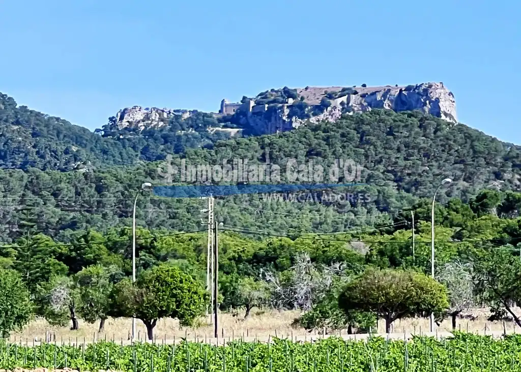 Terreny rústic en venda a S'Alquería Blanca - Calonge, imagen 2