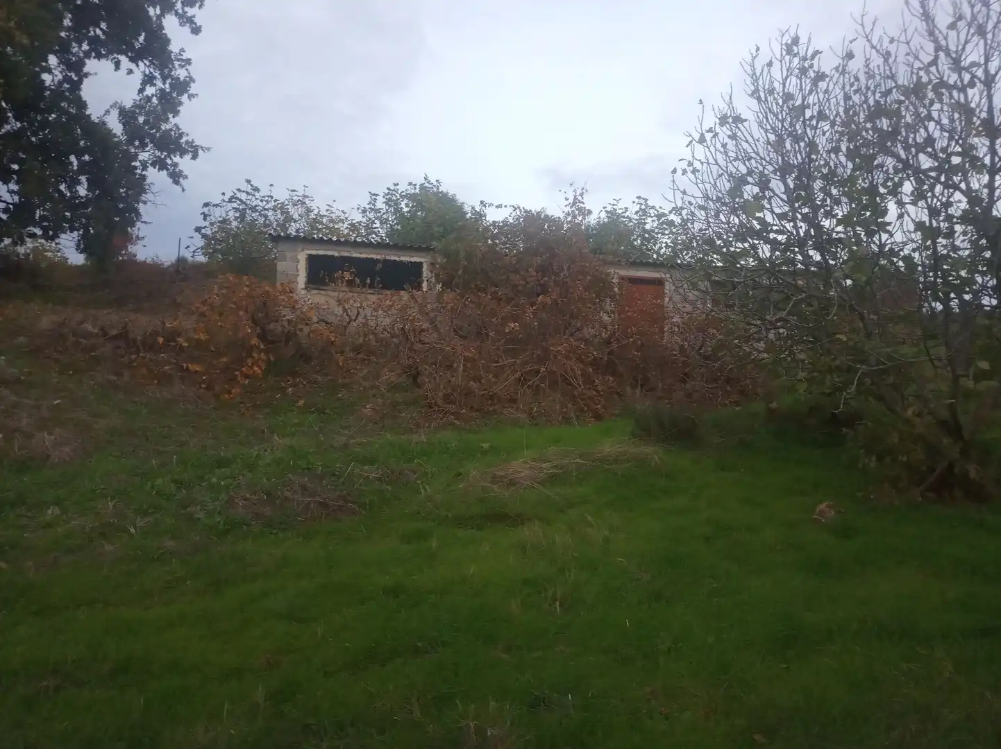 Terreni e lotti in vendita a Jarandilla de la Vera, imagen 5