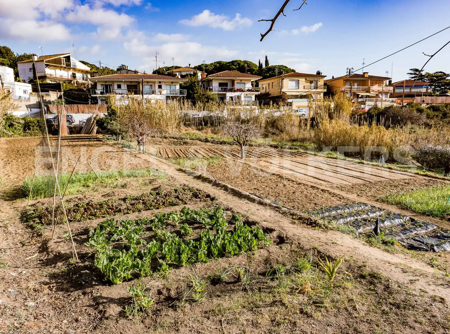 Casa amb terrassa en venda a Premià de Dalt, imagen 48