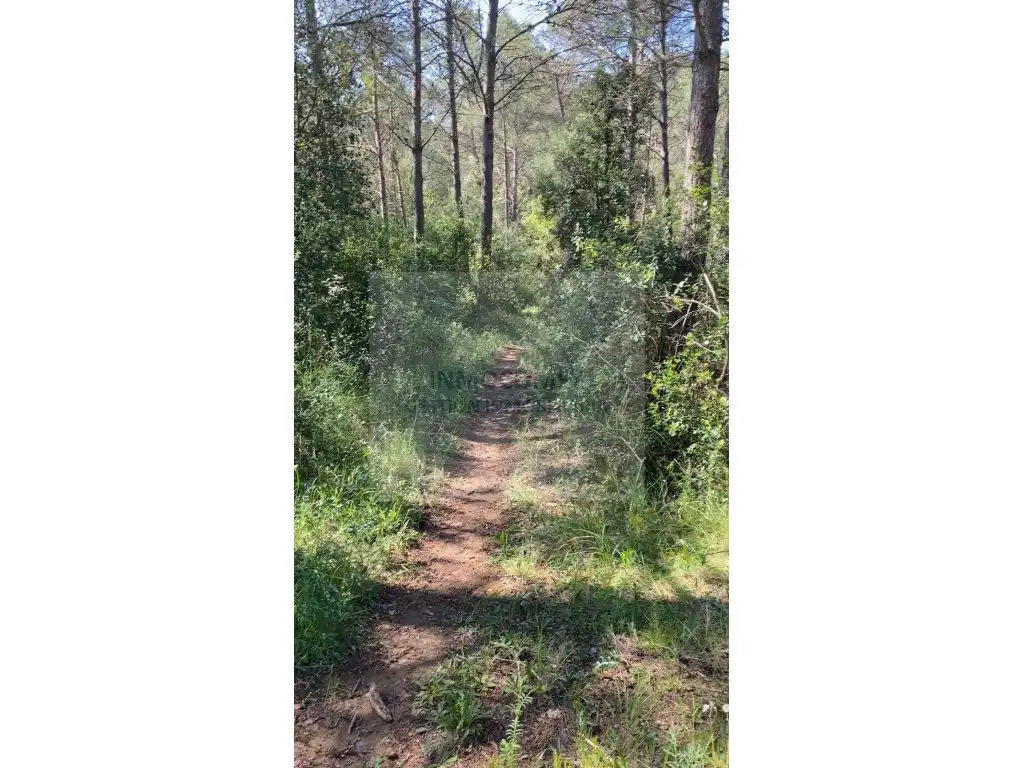 Land for sale in Pals