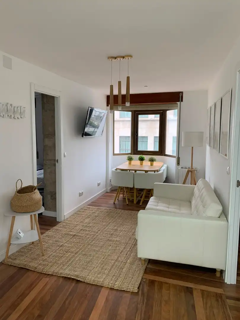Living room of Flat for rent in Santander  with Heating, Terrace and Furnished