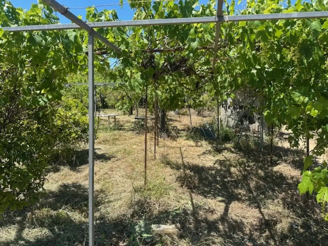 Terreno en venta en La Font d'en Carròs