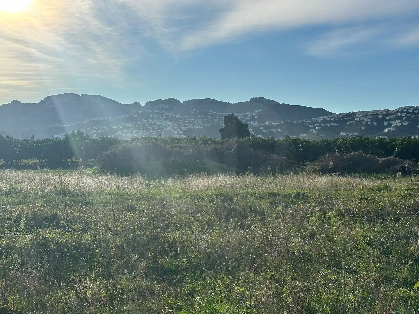 Lands and plots for sale in Pego, imagen 15