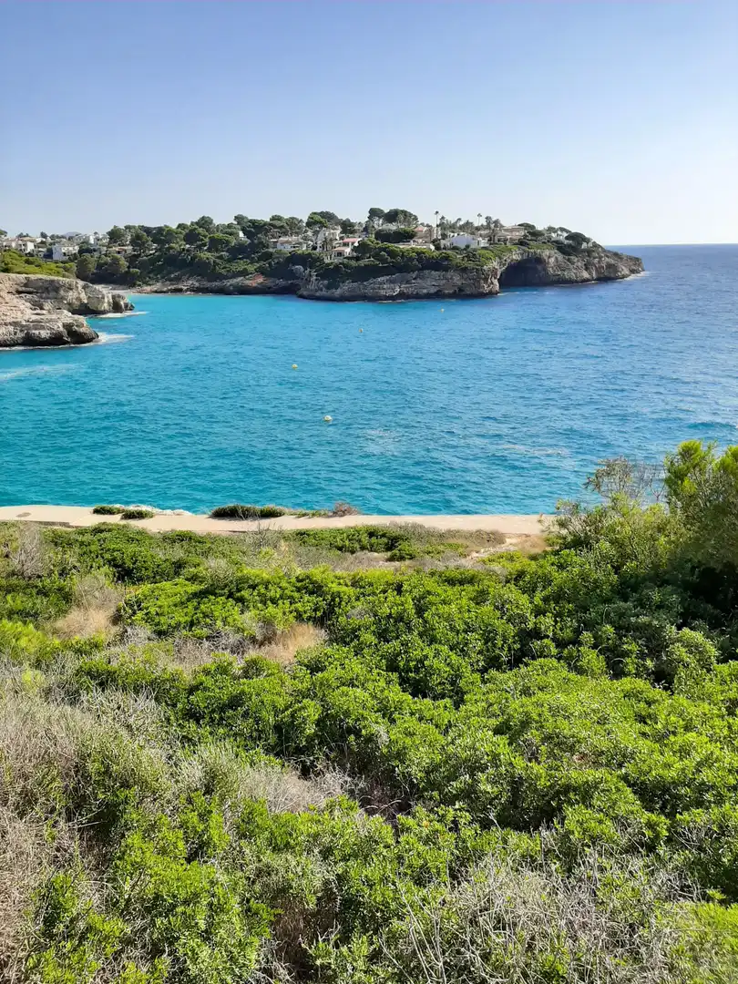Residential land for sale in Carrer de la Punta Reina 57, imagen 12