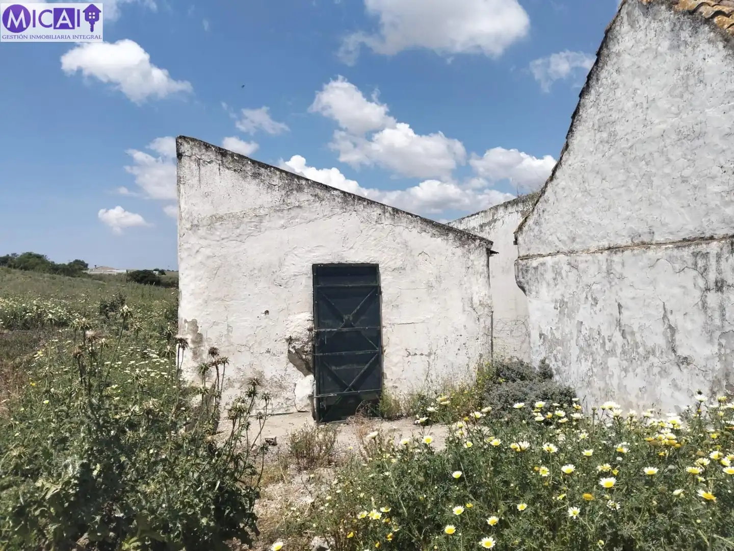 Terreny rústic en venda a Medina Sidonia, imagen 6
