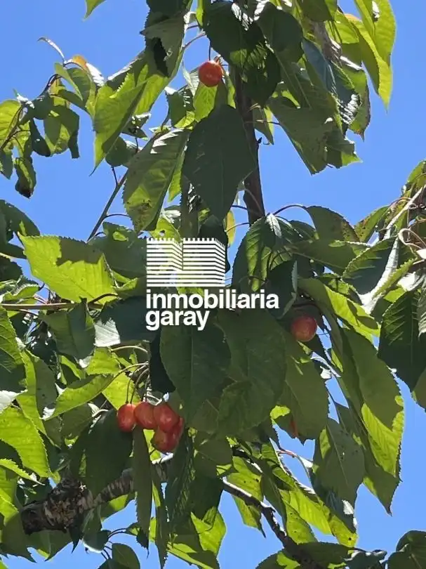 Casa amb terrassa en venda a Merindad de Montija, imagen 9