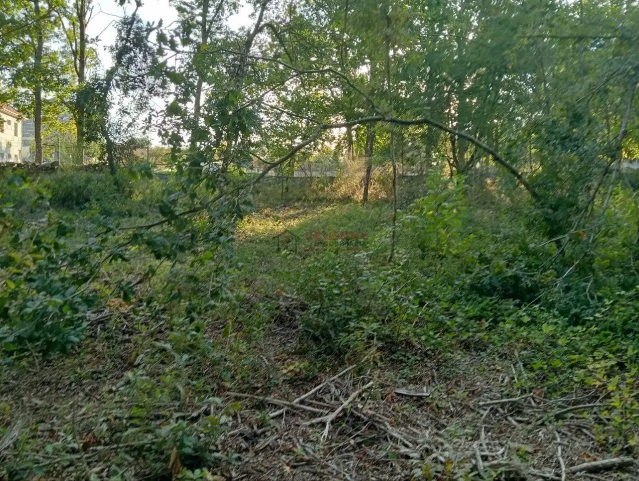 Residencial en venda en San Cibrao das Viñas
