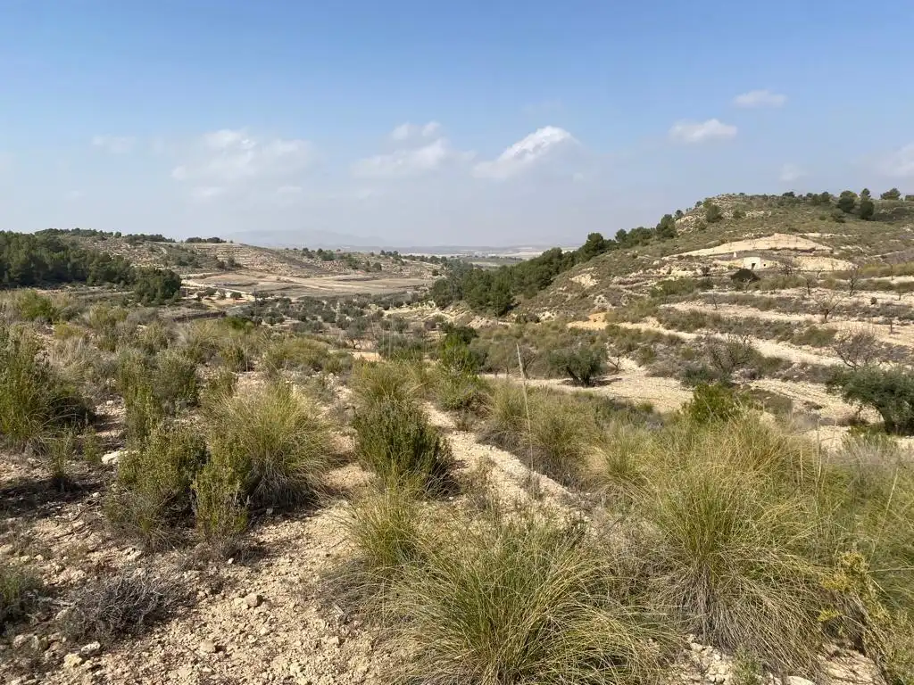Finca rústica en venta en Jumilla con Jardín privado y Trastero