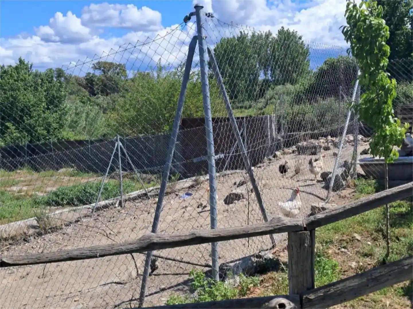 Jardí de Pis en venda en Navalmoral de la Mata amb Aire condicionat, Jardí privat i Traster