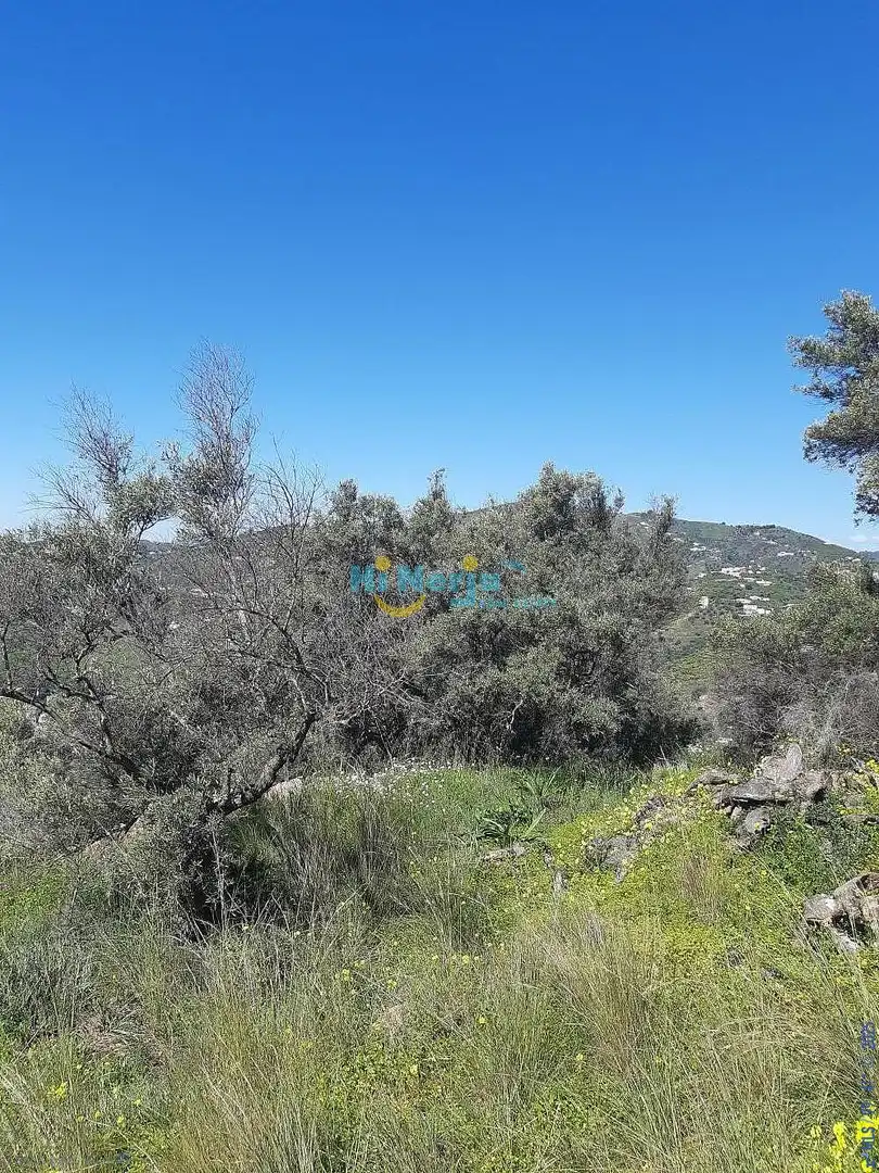 Terreni e lotti in vendita a Torrox Pueblo, imagen 21
