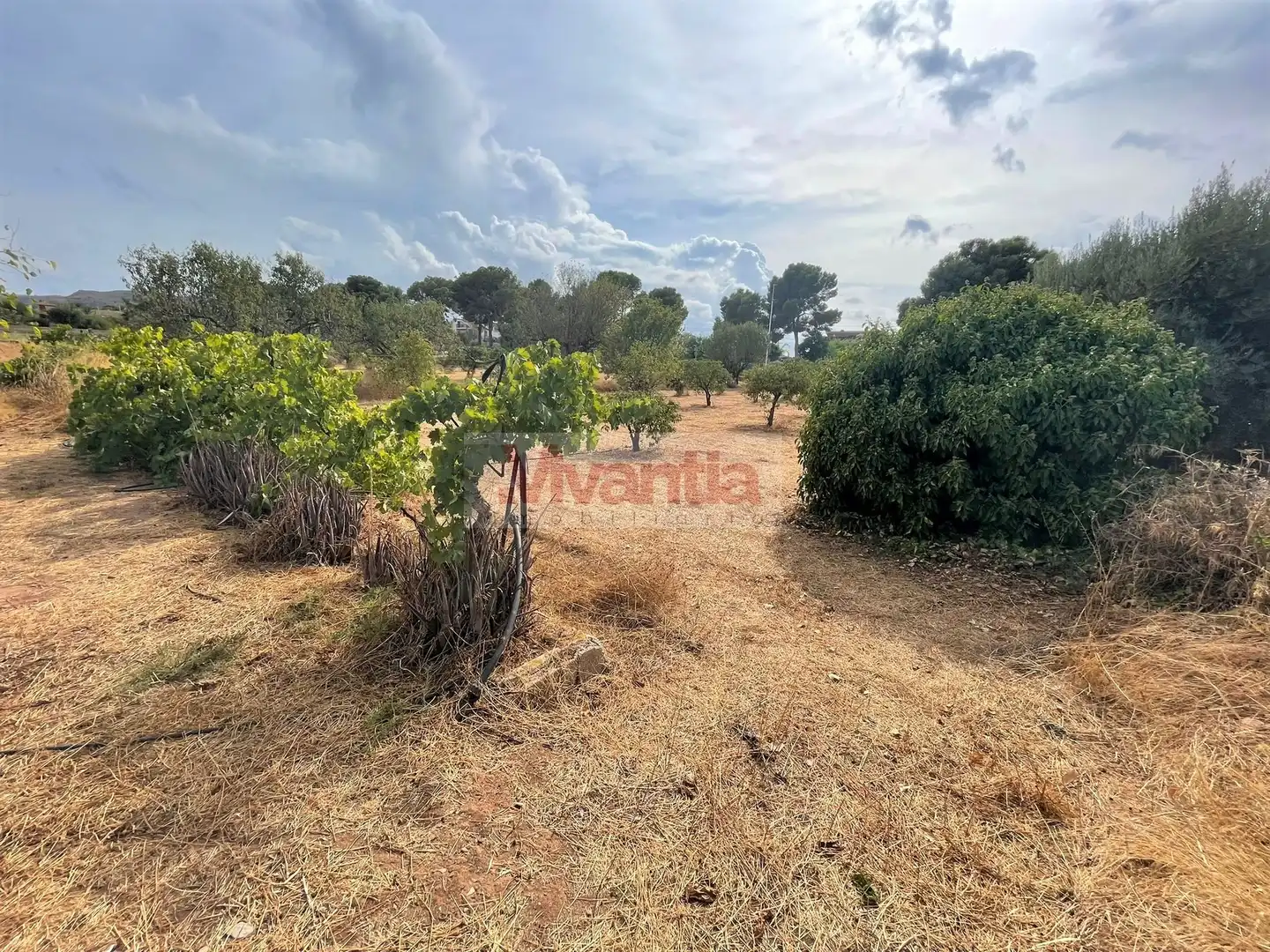 Country house zum Verkauf in Lorca mit Privatgarten, Terrasse und Möbliert