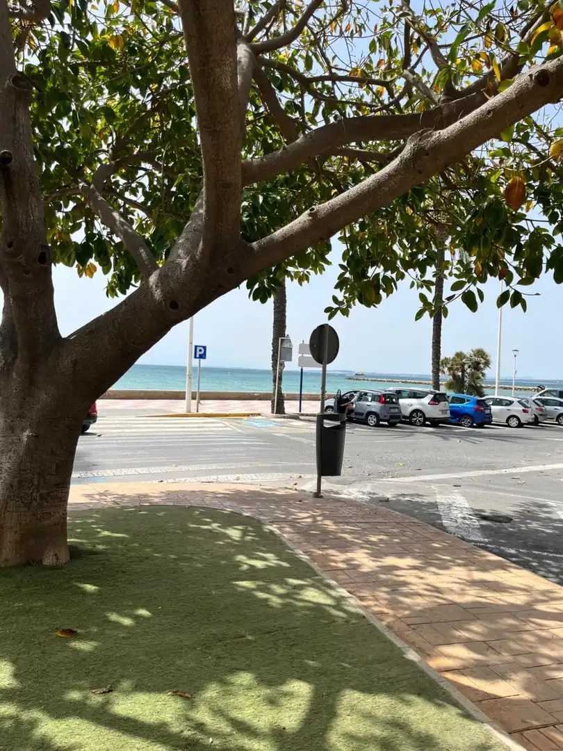 Vista exterior de Apartamento de alquiler en Santa Pola con Calefacción, Amueblado y Microondas