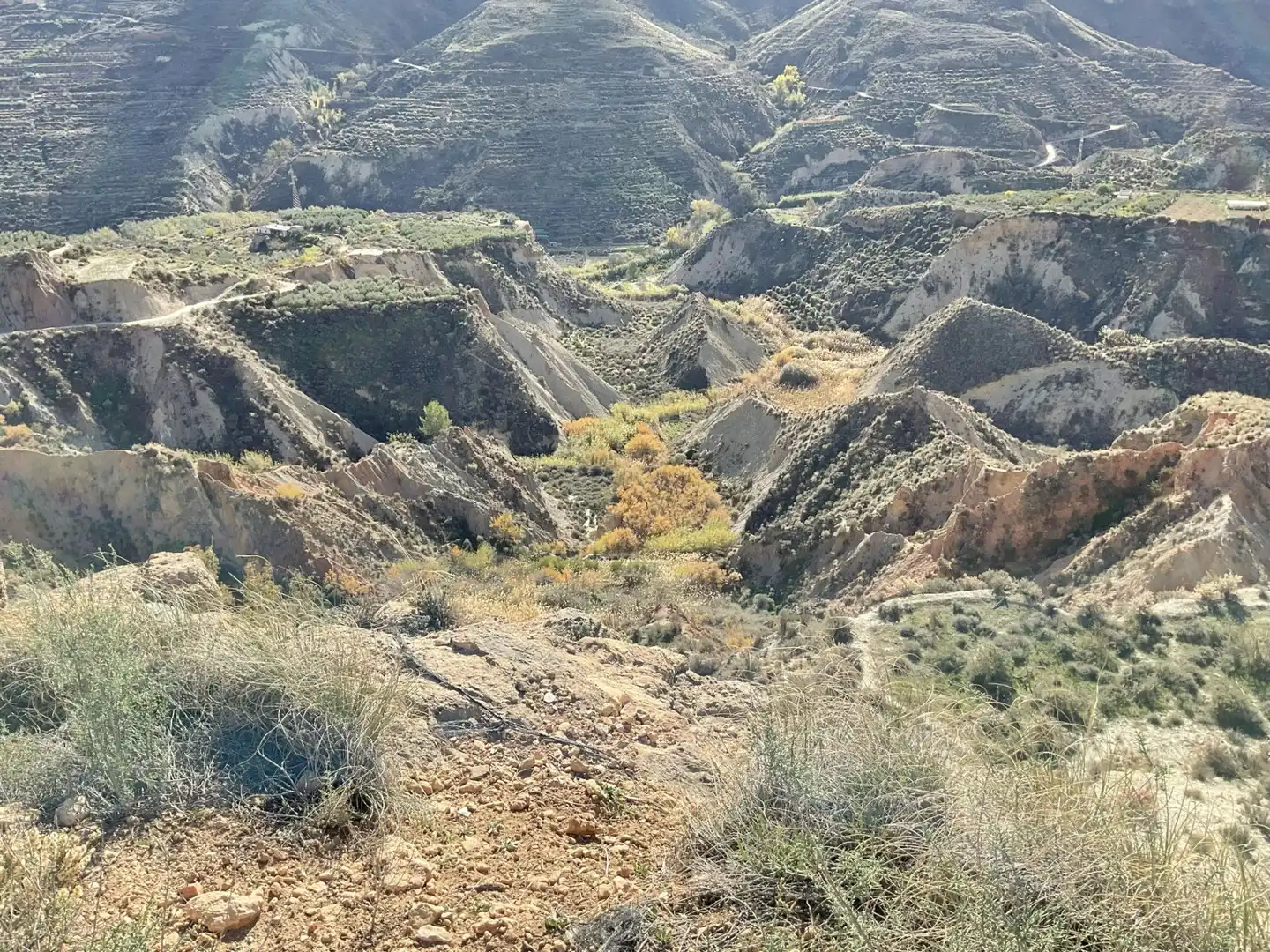 Exterior view of Land for sale in Padules