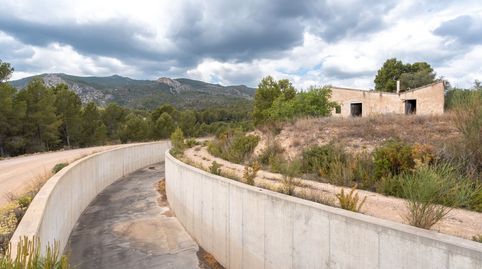 Finca rústica al lado del canal con una construcción de 40 m2, immagine 4
