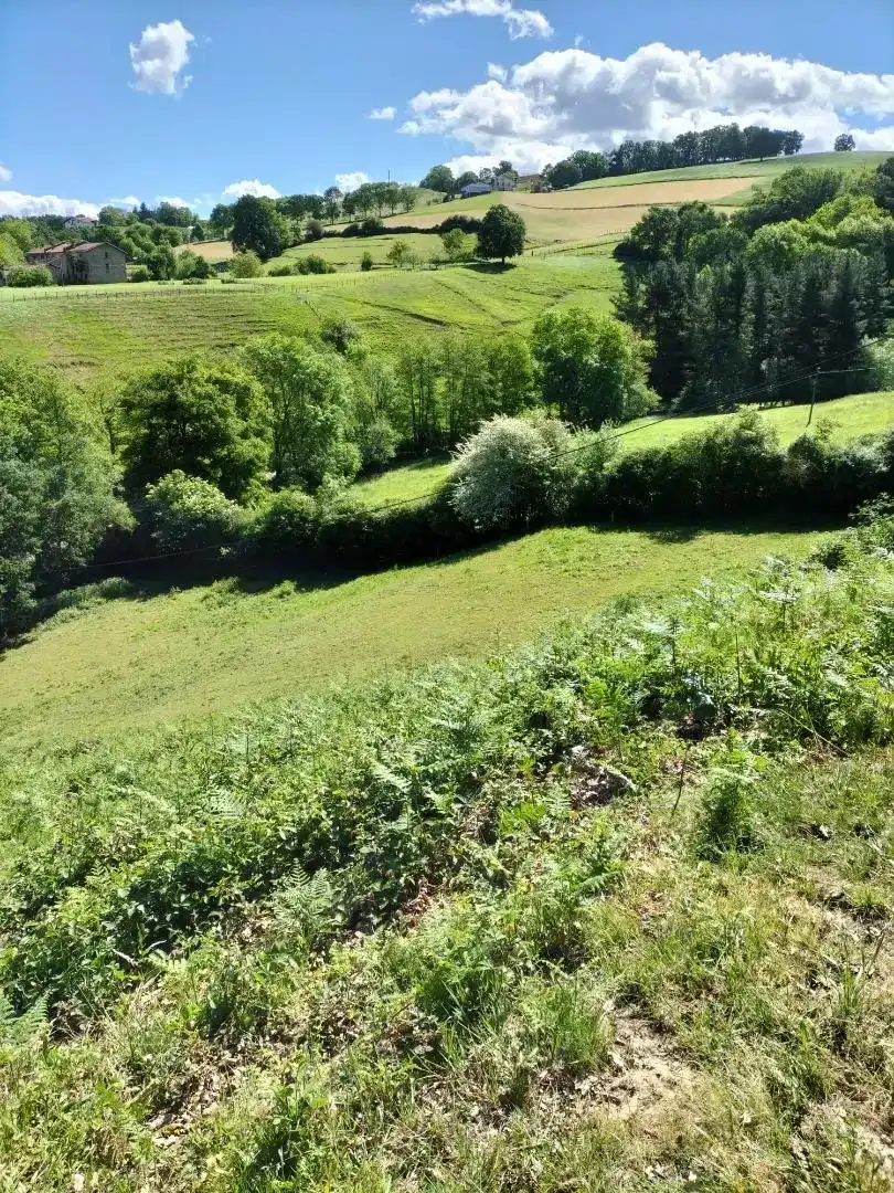 Grundstücke zum Verkauf in Idiazabal