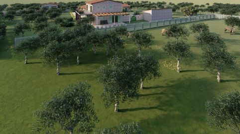 Foto 2 de Finca rústica en venta en Manacor Centre, Manacor