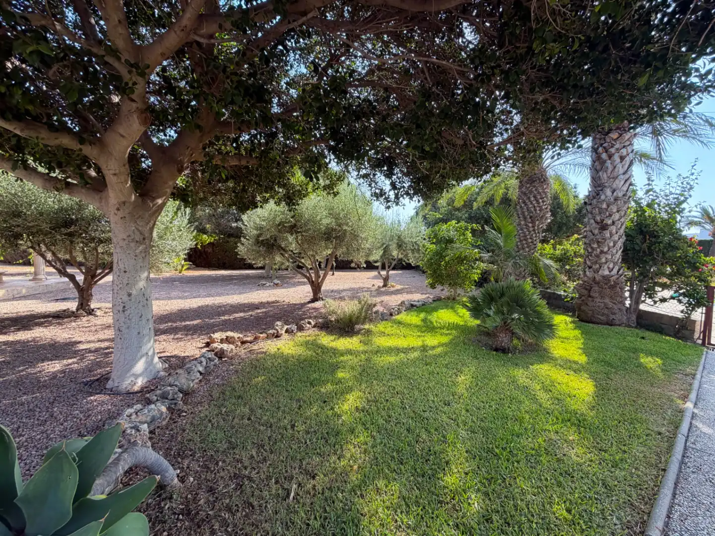 Jardín de Casa o chalet de alquiler en Sant Joan d'Alacant con Terraza y Piscina