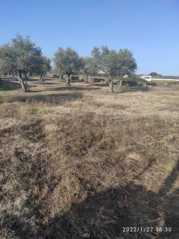 Terreno residencial en Venta en Del Guijo en Ahigal