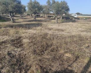 Residential for sale in Ahigal