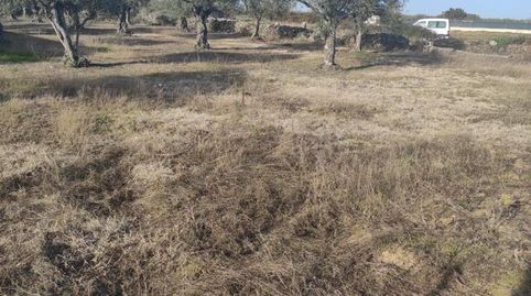 TERRENO EN ESQUINA CON VISIBILIDAD Y EDIFICABLE