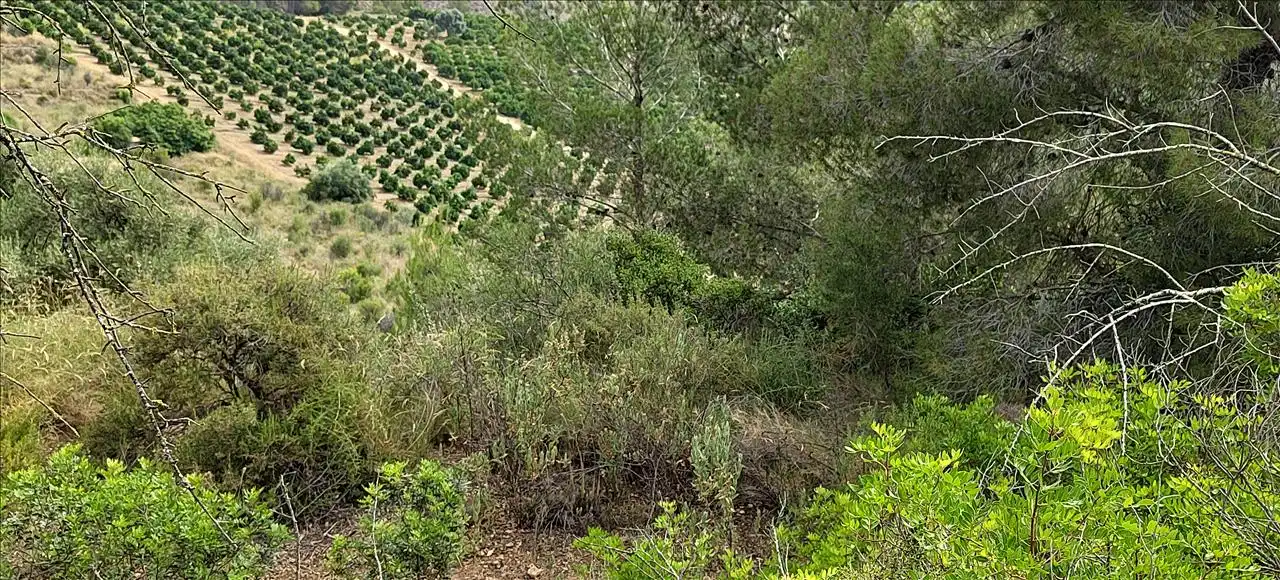 Residencial en venta en Estubeny