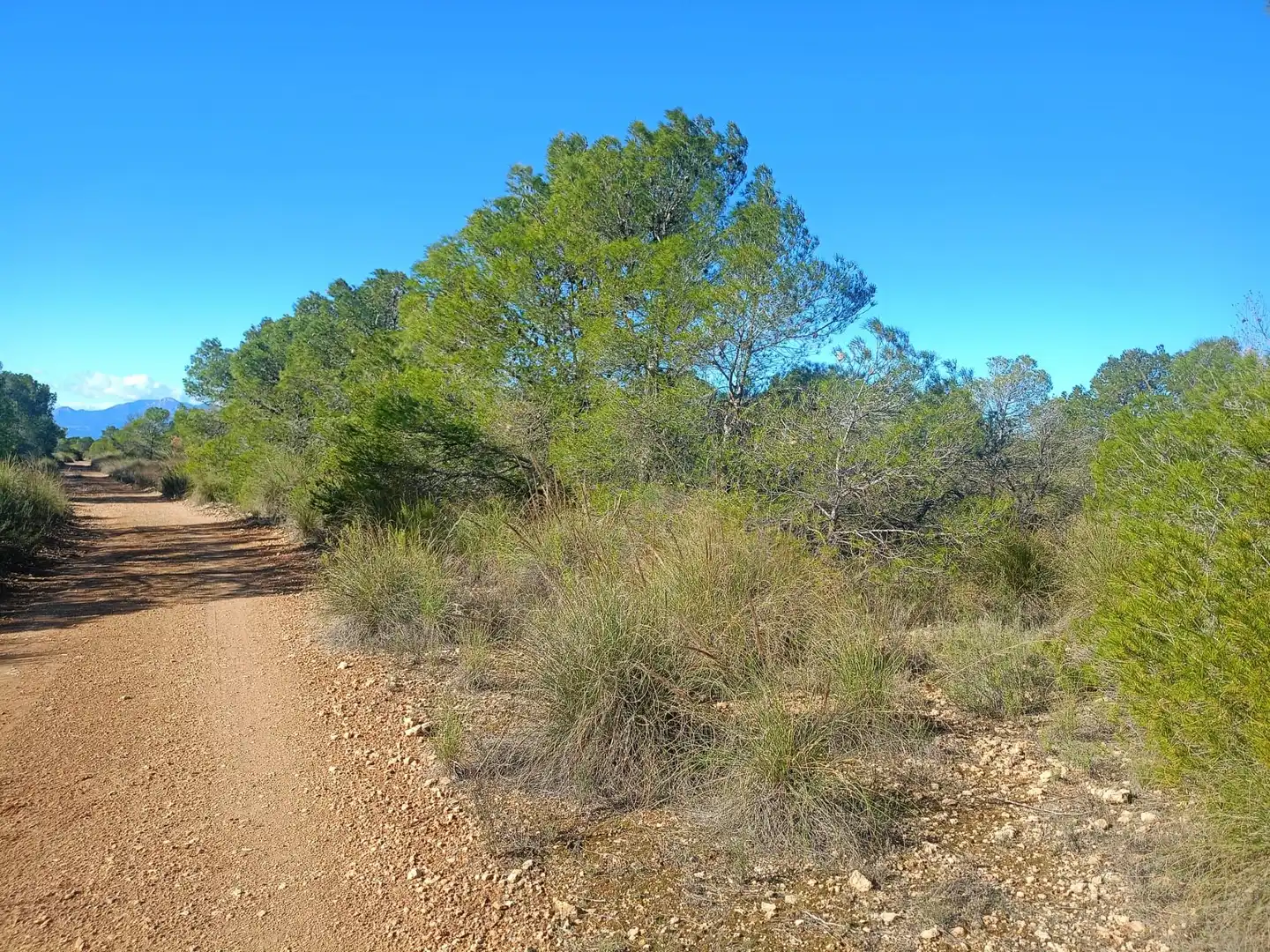 Grundstücke zum Verkauf in Lorca