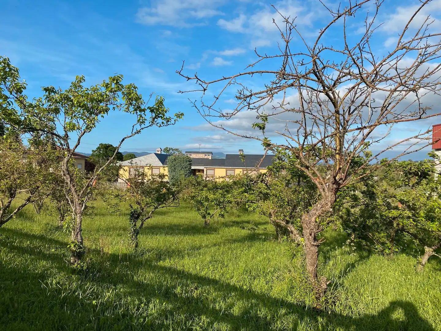 Residential land for sale in Viella - Granda - Meres, imagen 8