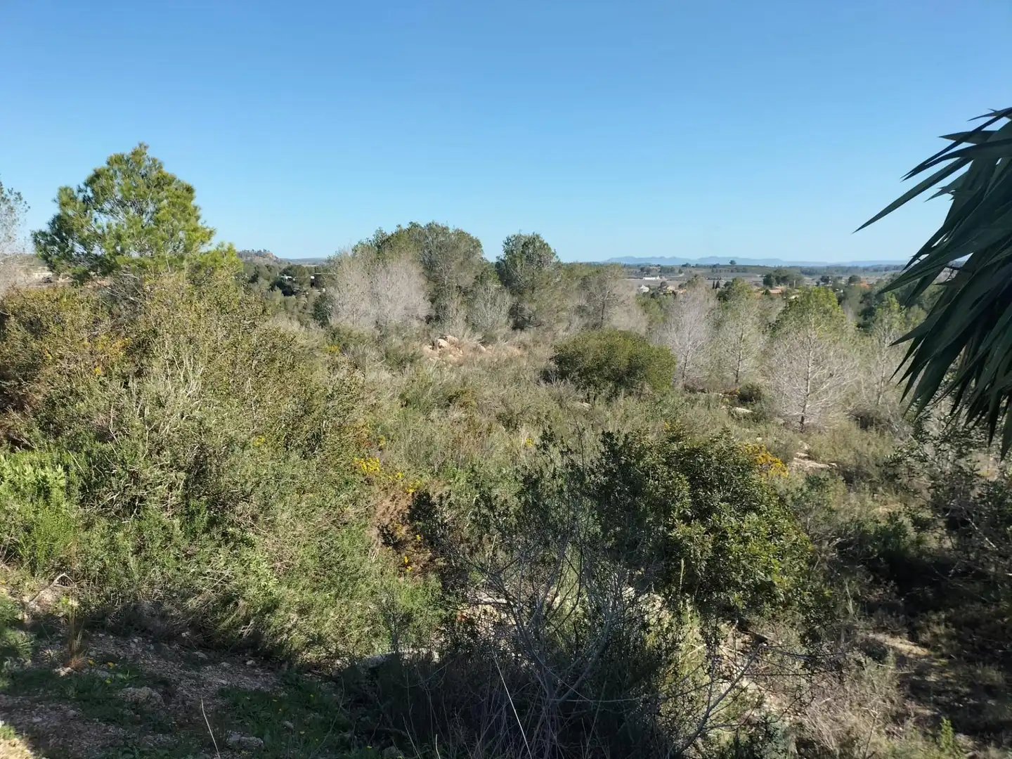 Terreno rustico in vendita a Polígono 9 Parcela 578 EL PORRE. NAVARRES (VALENC, imagen 9