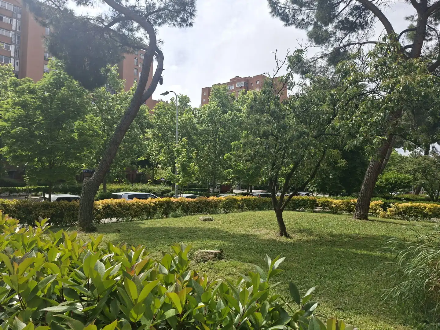 Jardín de Piso en venta en Madrid
