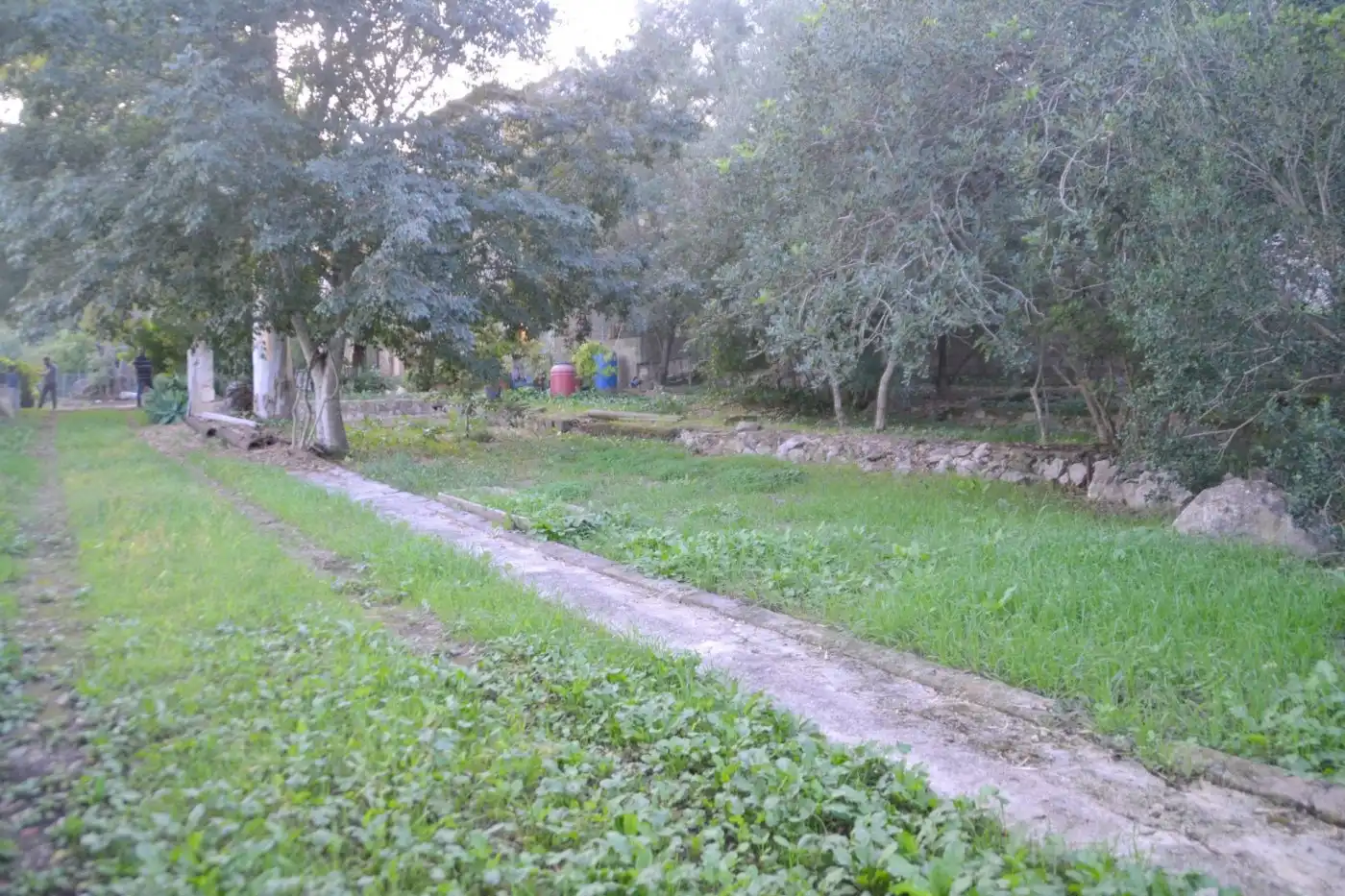 Maison rustique avec piscine à vendre à Sa Pobla, imagen 8